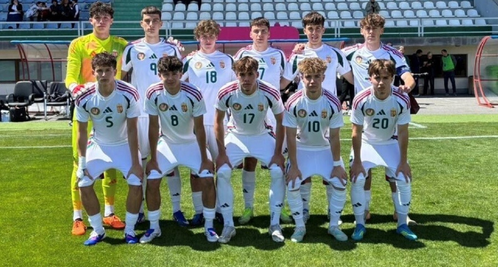 Vasiljevic gól, Görög gólpassz az Eb-selejtezőn