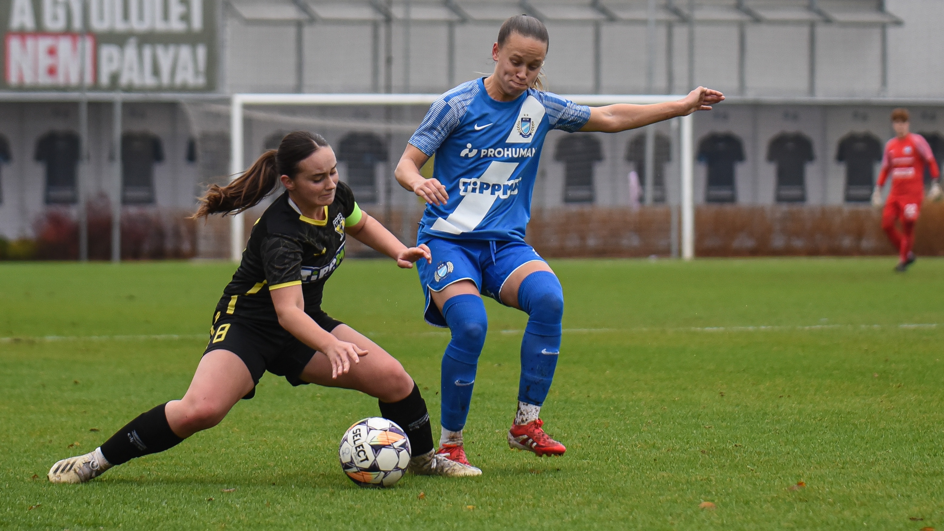 Képgaléria: MTK Budapest-Szekszárdi WFC 8-0